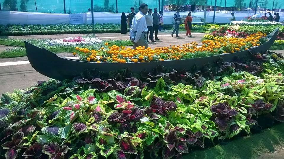 Cochin Flower Show