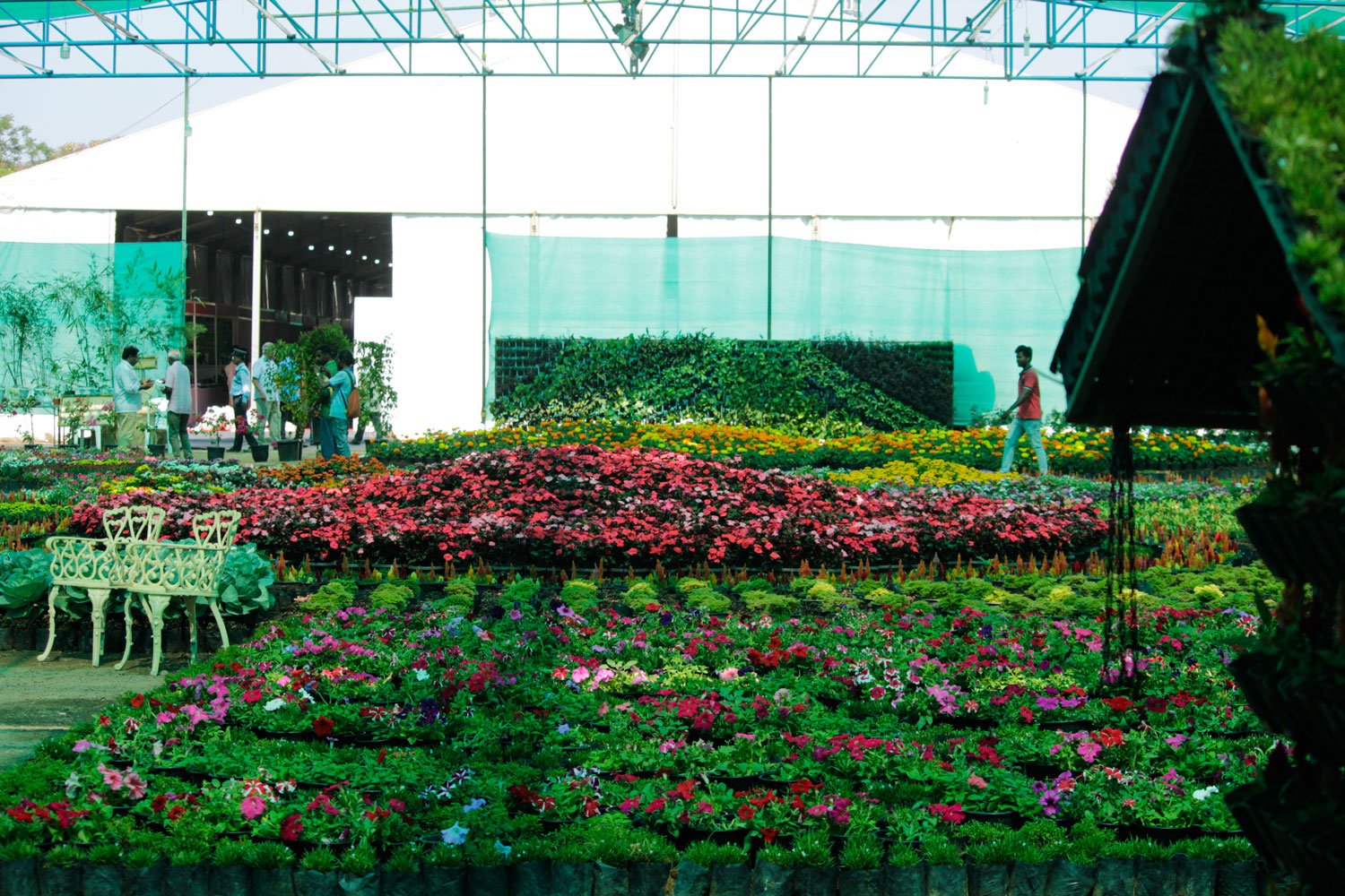 37th Cochin Flower Show